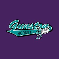 Gunston Middle School Ladies Fine Jersey Tee - Des. B