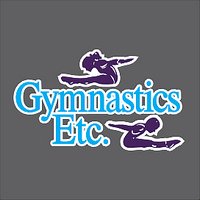 Gymnastics Etc Performance Hooded Long Sleeve T-Shirt