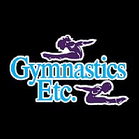 Gymnastics Etc Performance Hooded Long Sleeve T-Shirt