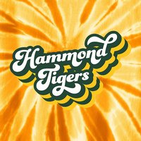 Hammond Elementary Tie-Dye T-shirt - Des. B