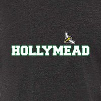 Hollymead Ladies Triblend Long Sleeve Raglan Tee