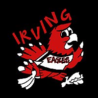 Irving Elementary Triblend T-Shirt