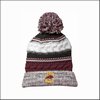 LeRoy HS Music Pom Pom Team Beanie