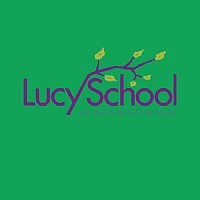 Lucy School Ladies V-Neck Tee