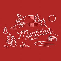 Montclair Elementary Ladies V-Neck Tee - Vintage