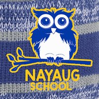 Nayaug Elementary New Era Sideline Beanie