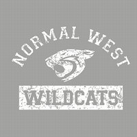 NCWHS Spiritwear Ladies Stripe Double Hood Pullover