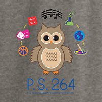 PS 264 Ladies Triblend Long Sleeve Raglan Tee