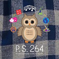 PS 264 Plaid Flannel Pants