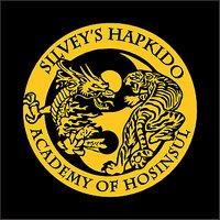 Silvey's Hapkido Quarter Zip Pullover