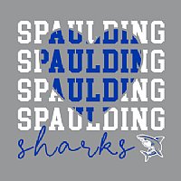 Spaulding ECC 3/4 Sleeve Baseball T-Shirt - Des. B