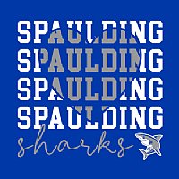 Spaulding ECC Toddler T-shirt - Des. B