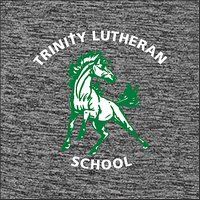 Trinity Lutheran Mustangs Vintage Heather Full Zip