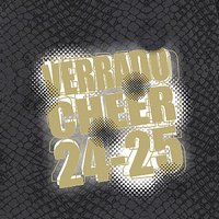 Verrado HS Cheer Ladies Fine Jersey Tee - Des. A