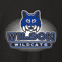 Wilson Elementary Tri-Blend Long Sleeve T-Shirt - Des. B