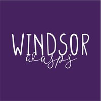 Windsor Elementary Tri-Blend T-Shirt - Des. B