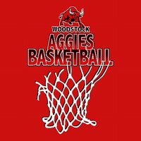 Woodstock Basketball Performance Hooded Long Sleeve T-Shirt