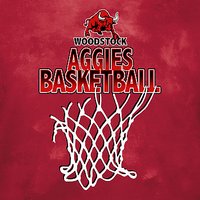 Woodstock Basketball Hooded Long Sleeve Tee